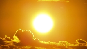 sun sun